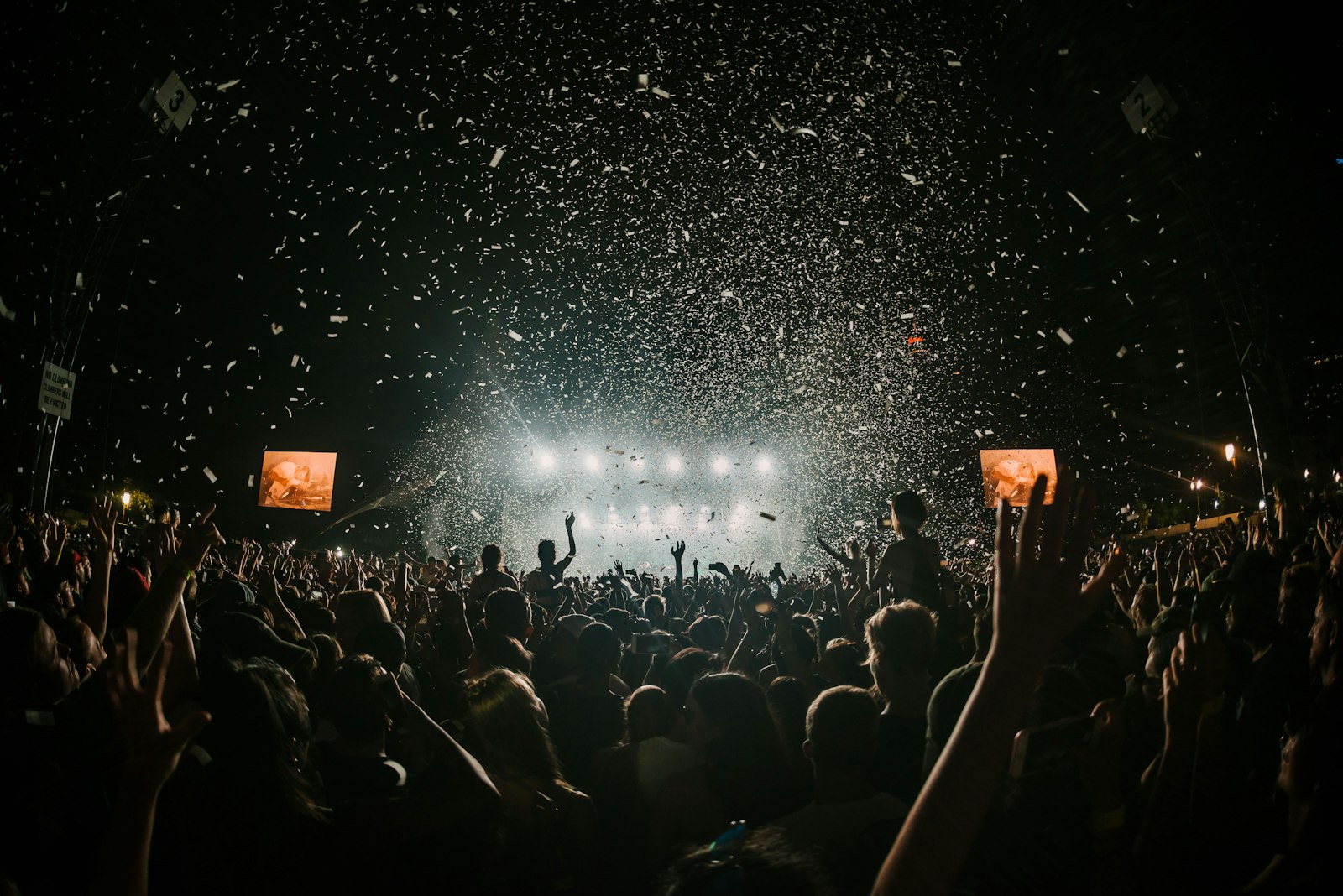 Crowd at an outdoor music festival